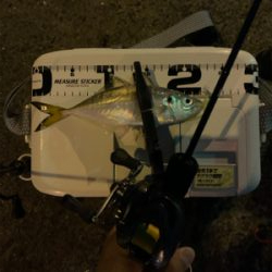 ベイトアジングの道⑩後一投…