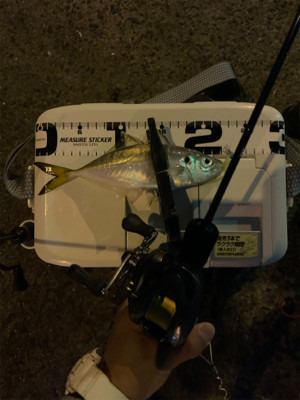 ベイトアジングの道⑩後一投…