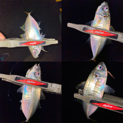 豆の中から良型を獲る