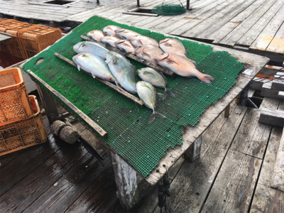 3ヶ月ぶりの釣り