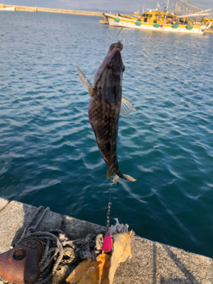 いつもよりも風が強い