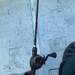 今年秋久々のヒトツテンヤ