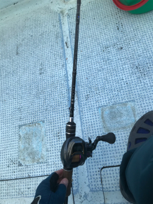 今年秋久々のヒトツテンヤ