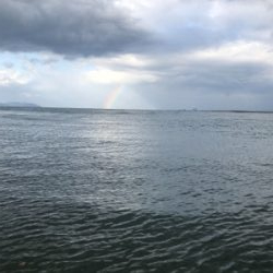 由良川河口にて