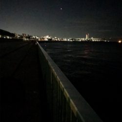 渋くて寒いエギング(＞＜)