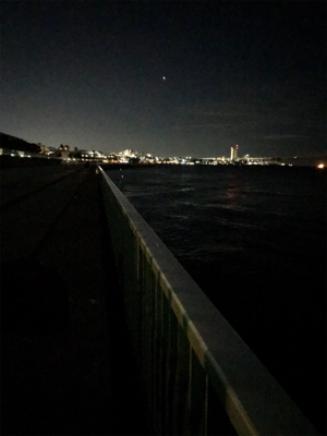 渋くて寒いエギング(＞＜)