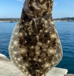 夜〜朝マズメ県北釣り