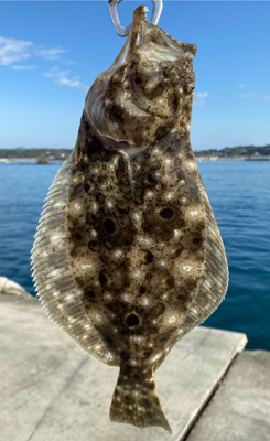 夜〜朝マズメ県北釣り