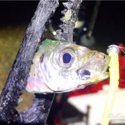 レベロクアジング