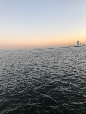 青物パラダイス