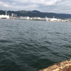 渋い中の値千金！