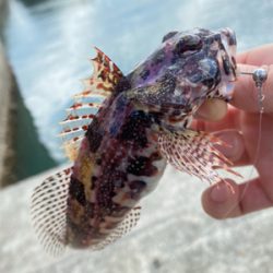 小物ワーム釣り