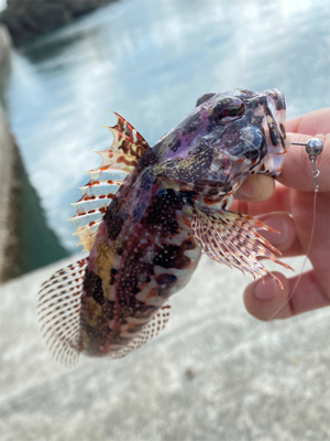 小物ワーム釣り