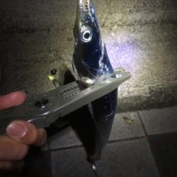 それぞれポロポロと