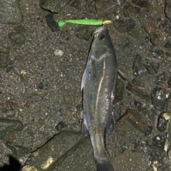 雨の中トップで!