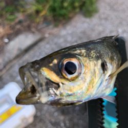 今日も風当たりが強かった⁉︎