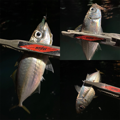 関門は豆アジ祭り