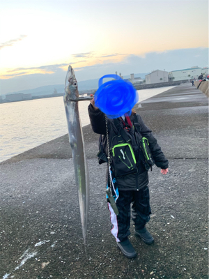 葵渡船でドラゴン！