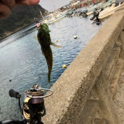 エギング、ショアジギ、アジング!