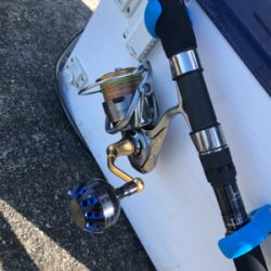 はじめてノマセでの釣果はメジロ‼️