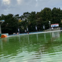 プールトラウト