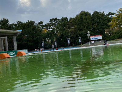 プールトラウト