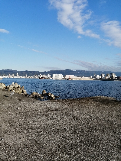 ライトショアジギング