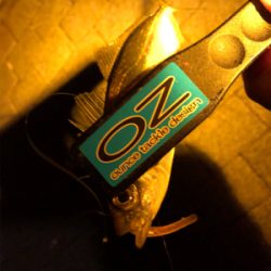 太っちょアジさんに遭遇