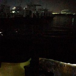 ヒイカ調査(^.^)