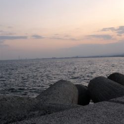 今年のアジは渋いんかなぁ。イワシは乱舞してましたw