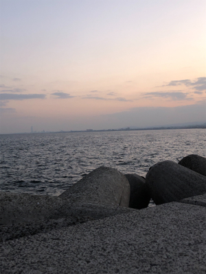 今年のアジは渋いんかなぁ。イワシは乱舞してましたw