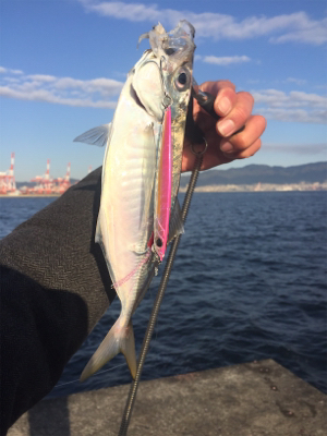 ポーアイ沖堤防