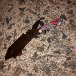 ヒイカ開幕？いや、まだだわ☆GUNNING-STYLE