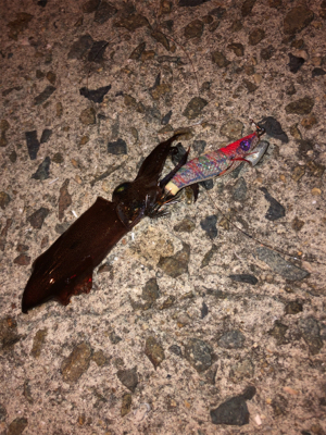 ヒイカ開幕？いや、まだだわ☆GUNNING-STYLE