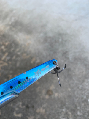 早朝のショアジギング