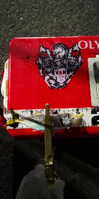 アジング練習 213