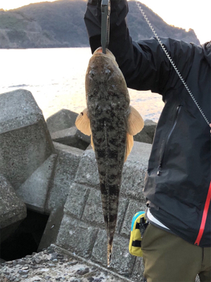 フラットフィッシュに挑戦