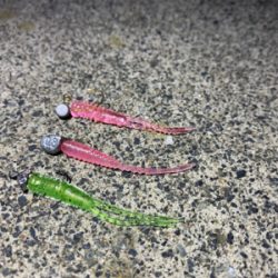 久しぶりの日本海