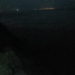 サゴシとハマチ