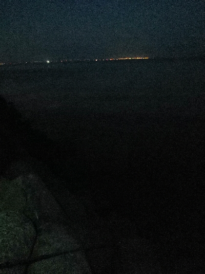 サゴシとハマチ