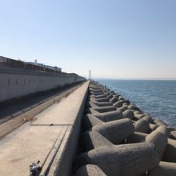 初めての大阪釣行