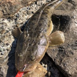 有田川隊ハロウィンパーティー