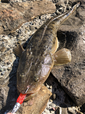 有田川隊ハロウィンパーティー