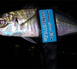 仕事帰りにちょこっと癒されに行きました