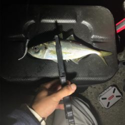 ベイトアジングの道⑬渋い