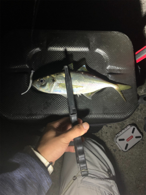 ベイトアジングの道⑬渋い