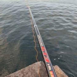 青物が欲しい。