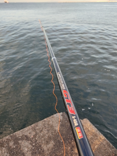 青物が欲しい。