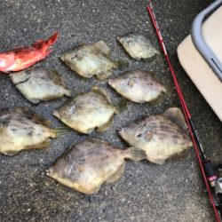 カワハギ釣り