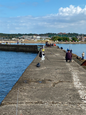 カレイ、カワハギ釣り